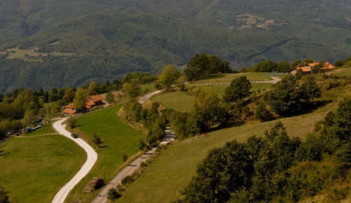 Agriturismo Il Serrino سان مارسيلو بيستويسي المظهر الخارجي الصورة